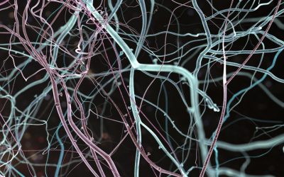 Discerner de nouveaux possibles