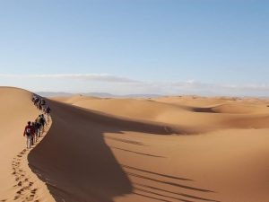 formation itinérance randonnée Sahara art expertise Finot coach