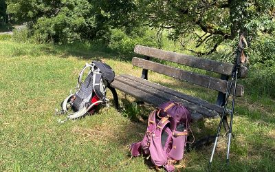 Hygiène professionnelle : partage de pratiques