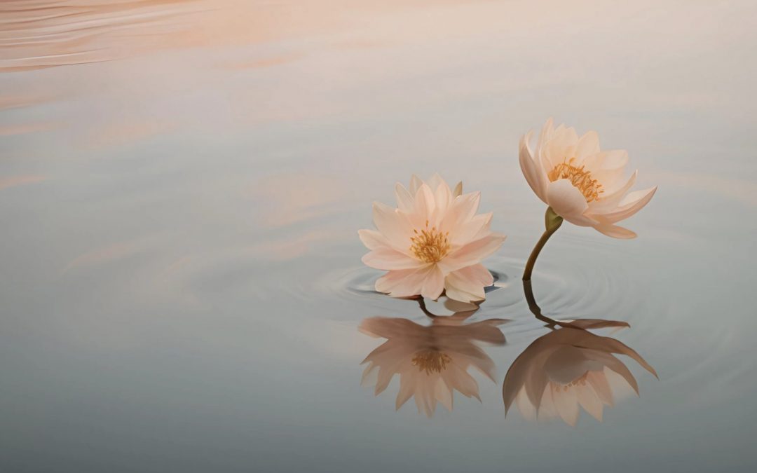 Nouvelle rentrée, nouveau souffle ? 