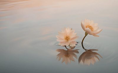 Nouvelle rentrée, nouveau souffle ? 